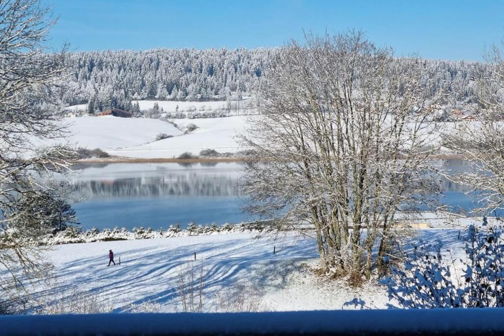 Duplex 6 Personnes, Vue Panoramique Sur Lac 马尔比伊松 外观 照片
